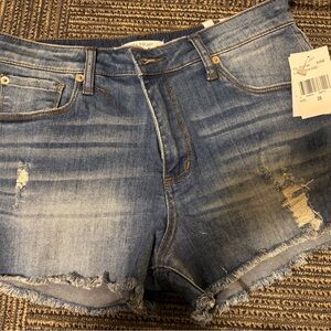 STS Blue Aubrey High Rise Denim Shorts